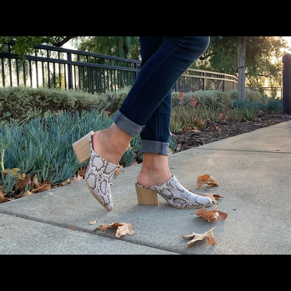 Shoes - SIZE 8.5 Snake pointy toe stacked block heel Mul